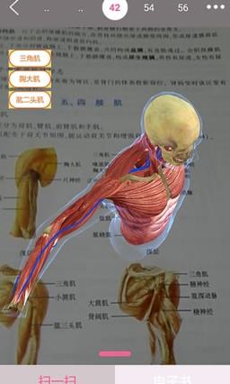 爱医课安卓版app