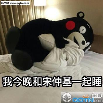 熊本熊宋仲基表情包app