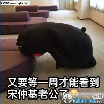 熊本熊宋仲基表情包app