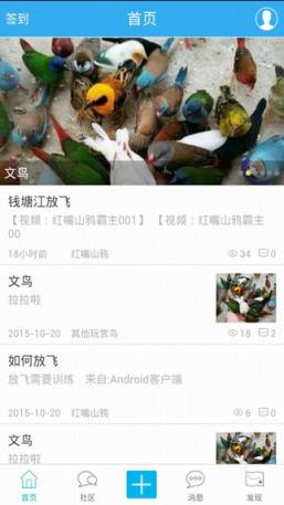 爱鹦鹉论坛手机客户端