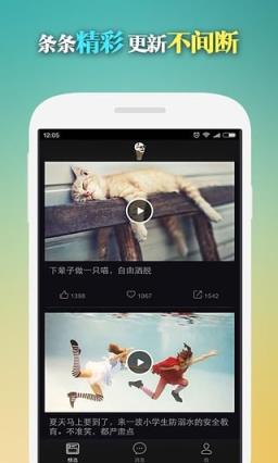 节操视频APP
