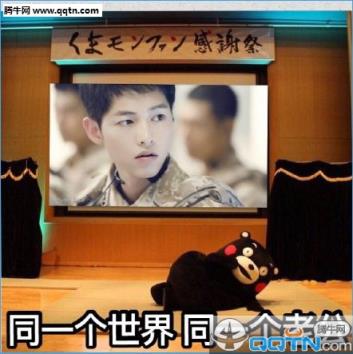 熊本熊宋仲基表情包app