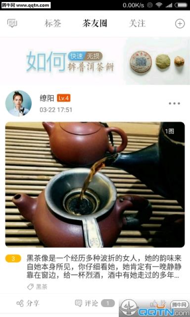 茶虫APP官方