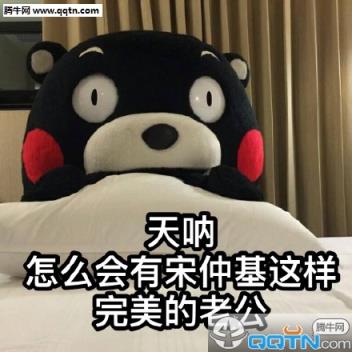 熊本熊宋仲基表情包app
