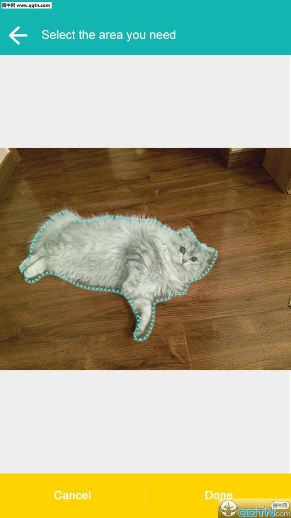 飞力猫抠图神器