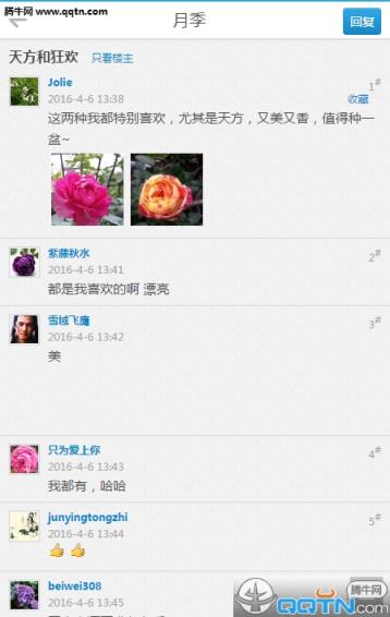 陌上花论坛手机版