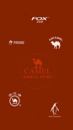 camel骆驼app下载