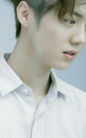 exo鹿晗定制版手机壁纸