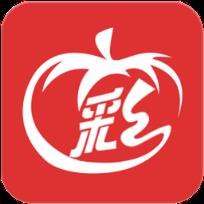 西红柿计划软件手机版