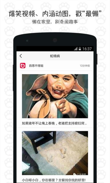 最懒应用app