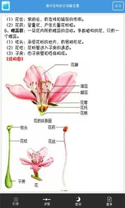 高中生物知识点大全软件