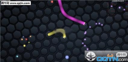 蛇蛇大作战slither.io辅助工具