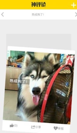 神评论官方app