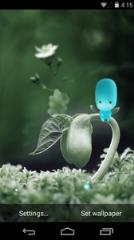 情人节的礼物壁纸