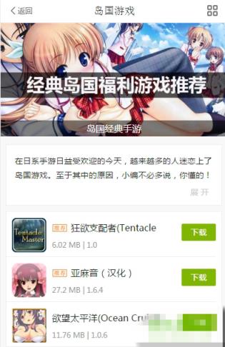 木子游戏汉化版