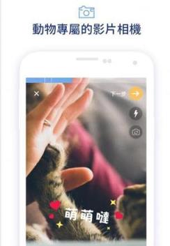 宠拍app