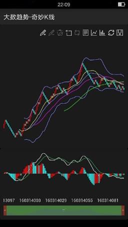 西红柿计划软件手机版