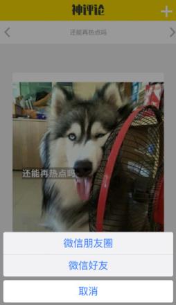神评论官方app