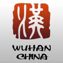 云端武汉市民App官方