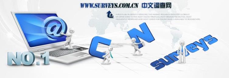 中文调查网手机版