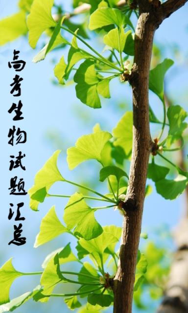 高中生物真题汇总安卓客户端