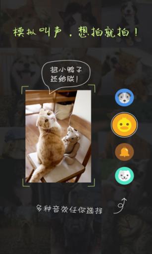 萌宠相机APP