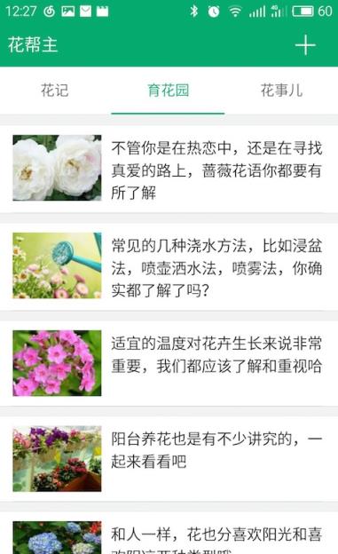 花帮主app