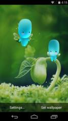 情人节的礼物壁纸