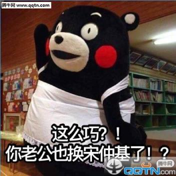 熊本熊宋仲基表情包app