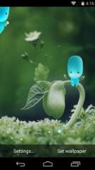 情人节的礼物壁纸