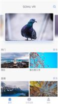 搜狐视频VR播放器手机版
