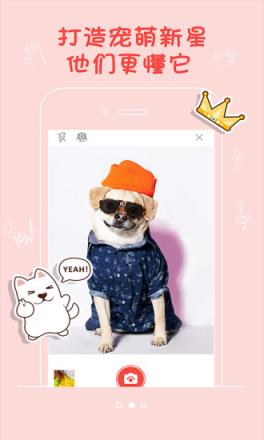 宠仔圈app