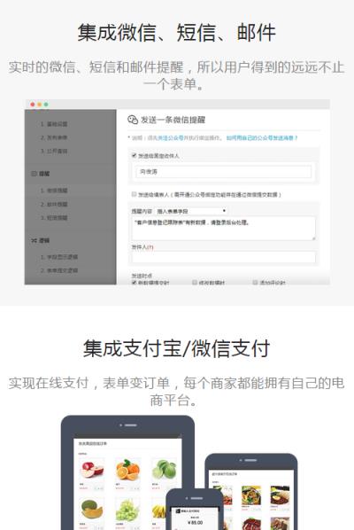 表单大师App