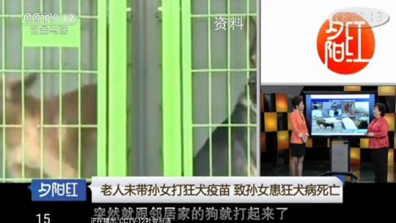 西瓜直播TV版
