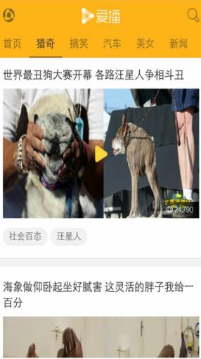 爱播视频网app官方
