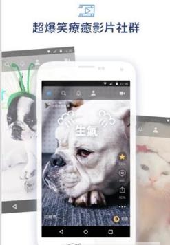 宠拍app