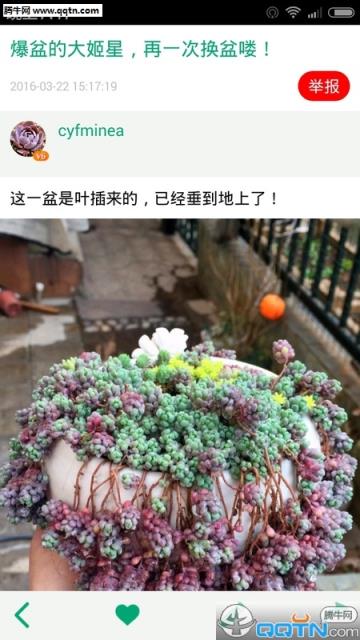 多肉植物APP