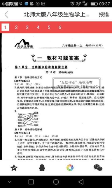 初中数学作业答案集APP