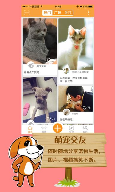 人人宠app下载安装