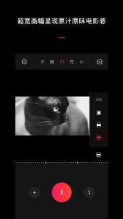 VUE视频美化工具手机