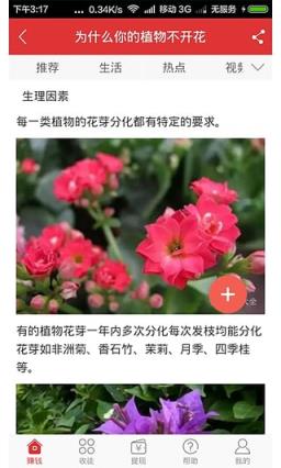 玩转头条手机版