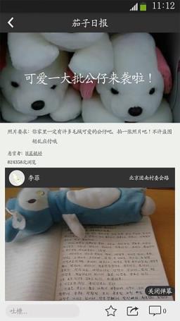 茄子日报手机版