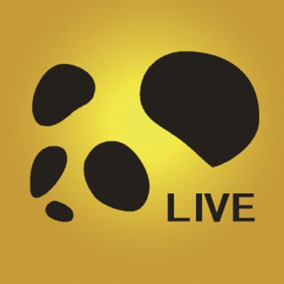 金熊猫APP官方下载安装