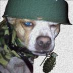 Pooper(一键铲屎)软件官方