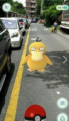 精灵宝可梦go快速孵蛋器