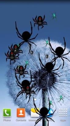 蜘蛛屏幕恶搞手机版