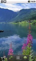 唯美风景动态壁纸