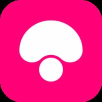 蘑菇街红人bazaar手机