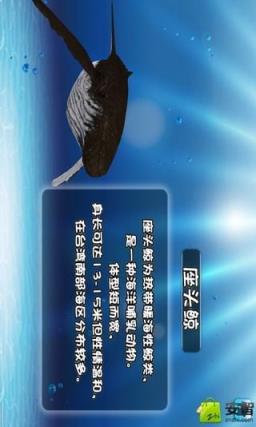 好多鱼立现3d版