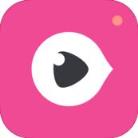 大蒜直播app